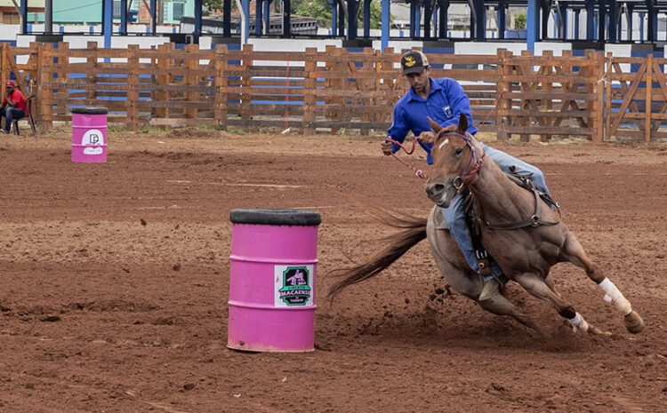 Precisão de competidores e robustez de equinos marcam Macaé Horse Fest