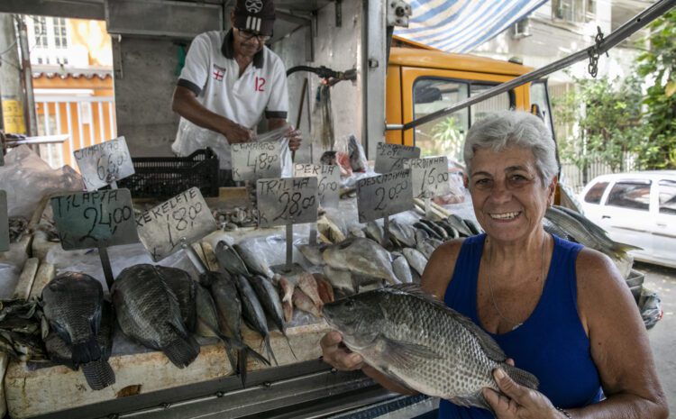  Governo do Rio celebra o aumento da exportação de peixes produzidos no Estado