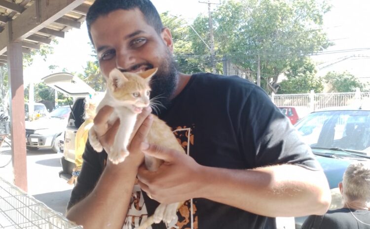 Feira de Adoção de Animais acontece neste sábado (17) em Búzios  