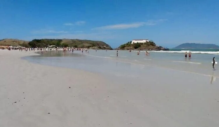  Lei autoriza circulação e permanência de cães nas praias de Cabo Frio