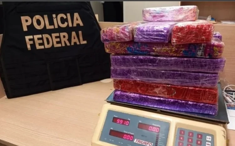 PF prende homem em Macaé com 9kg de maconha dentro de micro-ondas