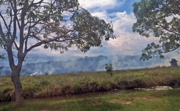 Macaé aplica multa de R$ 150 mil para quem praticar queimadas em áreas de vegetação