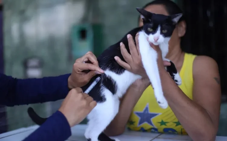  Vacine seu pet e proteja sua família: Cevas inicia Vacinação Antirrábica em Macaé