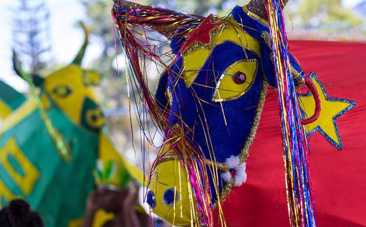Bois Pintadinhos animam o Carnaval de Macaé com tradição e cultura
