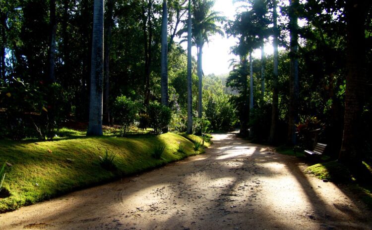  Parque Municipal de Rio das Ostras reabre com espaço revitalizado