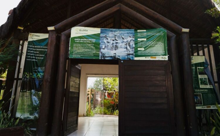  Cabo Frio: Parque Municipal Dormitório das Garças será reaberto com ponto de observação de aves