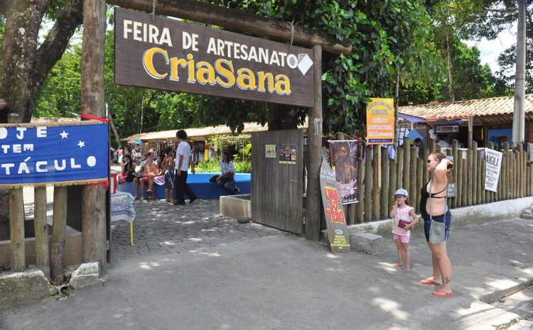 CriaSana: Novo Regulamento Interno Organiza e Valoriza Espaço Cultural