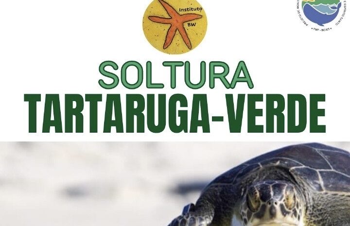 Instituto BW realiza soltura de tartaruga-verde com participação de estudantes em Macaé