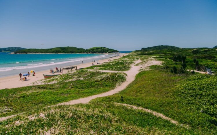 Cabo Frio celebra o Dia da Mata Atlântica com foco na preservação dos seus fragmentos naturais