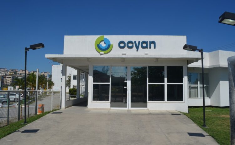 Ocyan abre inscrições para Programa de Estágio 2025 com vagas em Macaé e Rio