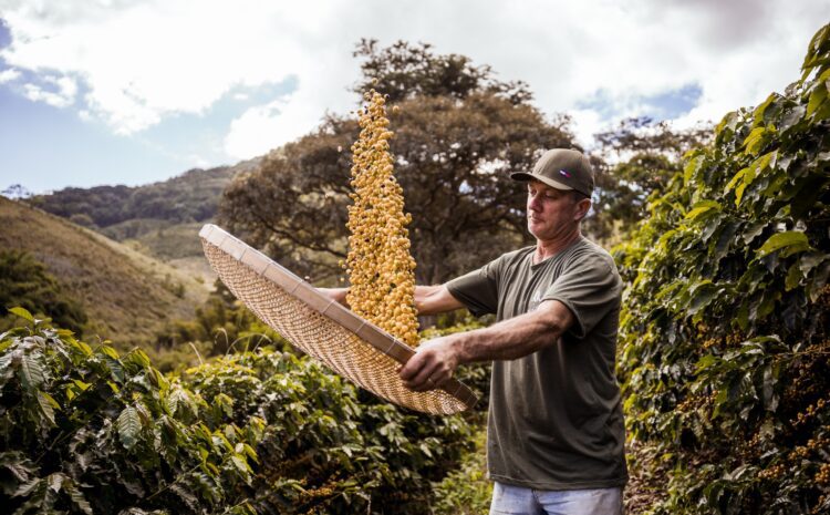 Foto: Divulgação/SECOM