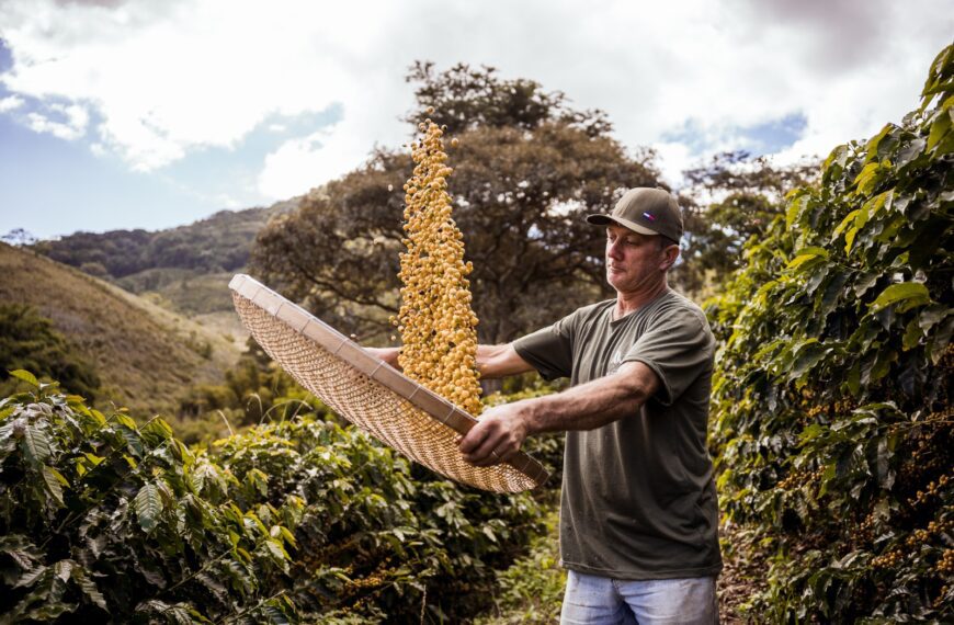 Cafeicultores do Estado do Rio estão entre os 150 melhores do Brasil no Coffee of the Year 2025