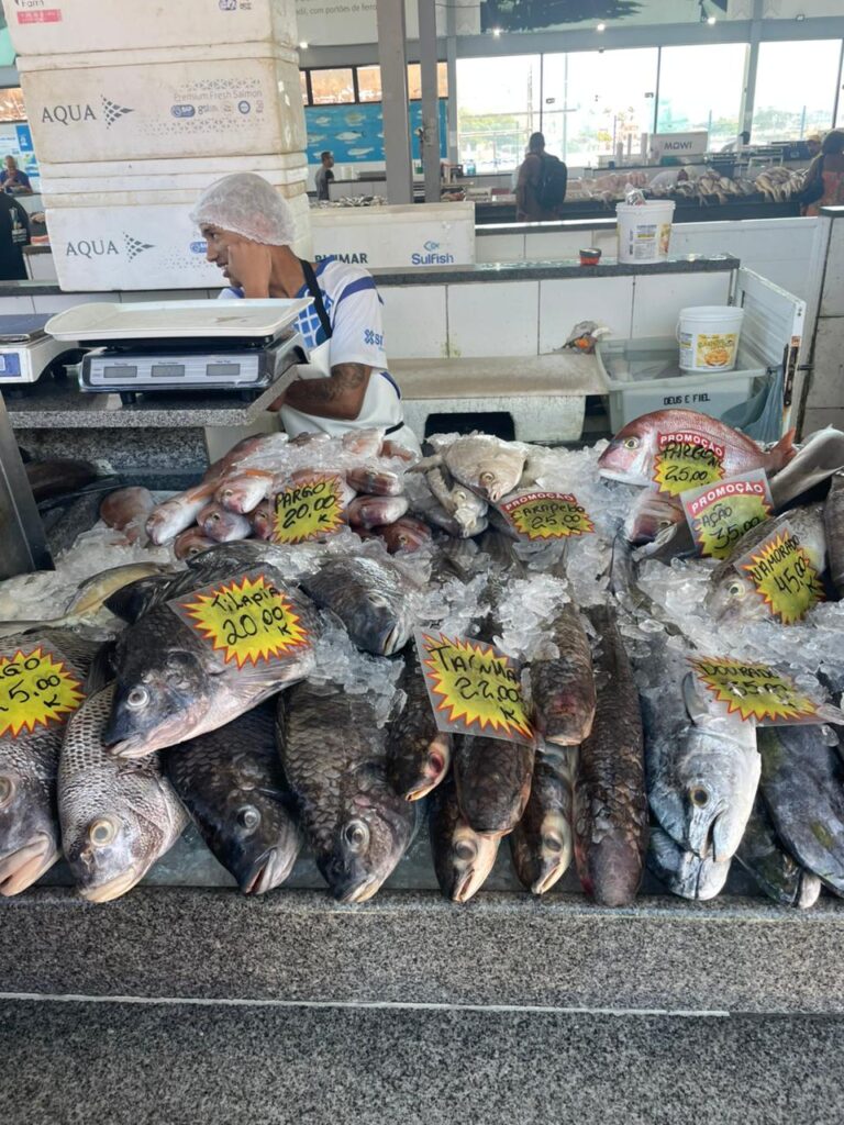 Procon macae Mercado de Peixes 1